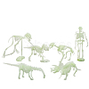 Luminous Artificial Plastic Dinosaur Skeleton Model LUMI-PW0004-062-2