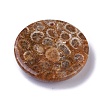 Natural Fossil Coral Pendants G-G779-02A-3
