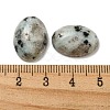 Natural Sesame Jasper Cabochons G-C115-01A-29-3