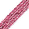 Natural Red Tourmaline Beads Strands X-G-A021-01A-1
