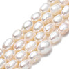 Natural Cultured Freshwater Pearl Beads Strands PEAR-N012-05A-3