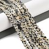 Natural Dalmatian Jasper Beads Strands G-M403-A31-02-2