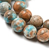 Natural Imperial Jasper Beads Strands G-N342-25C-4