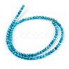 Natural Howlite Beads Strands G-L490-01-3
