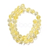 Transparent Glass Beads Strands GLAA-F114-02B-03-2
