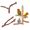 AHANDMAKER Satinwood Parrot Standing Twig AJEW-GA0002-79-1