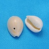 Natural Cowrie Shell Beads X-BSHE-S056-2
