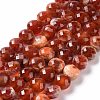Natural Dyed Fire Crackle Agate Beads Strands G-C023-08B-1