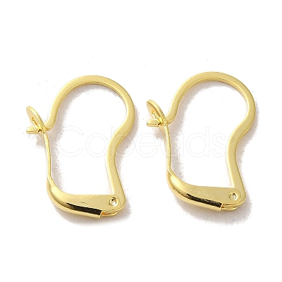 Brass Hoop Earring Findings FIND-Z039-30G-1