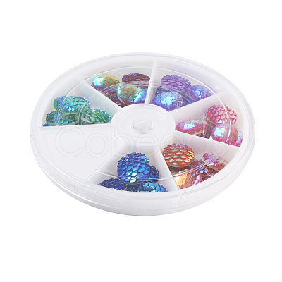 Resin Cabochons CRES-JP0001-02-1