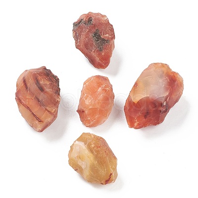 Rough Raw Natural Carnelian Beads G-H254-24-1