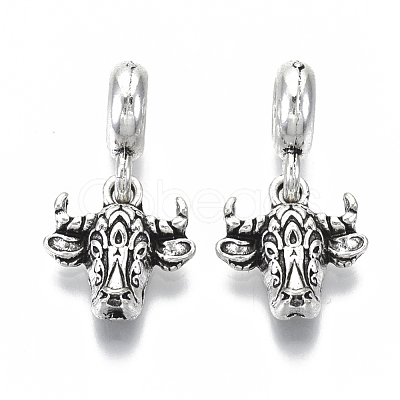 Tibetan Style Alloy European Dangle Charms MPDL-N039-013-1