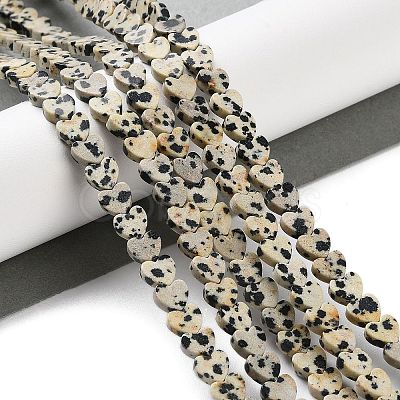 Natural Dalmatian Jasper Beads Strands G-M403-A31-02-1