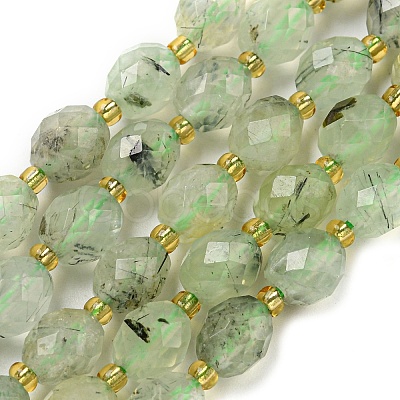 Natural Prehnite Beads Strands G-N342-58-1