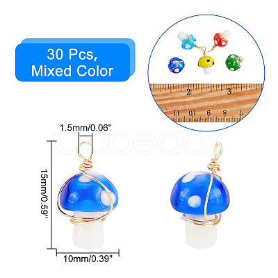 PandaHall Elit 30Pcs Handmade Lampwork Charms FIND-PH0007-96-1