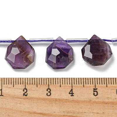 Natural Amethyst Beads Strands G-P544-C01-01-1