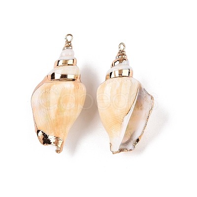 Natural Conch Shell Big Pendants SSHEL-N038-27-1