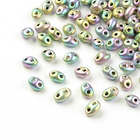 2-Hole Seed Beads X-GLAA-R159-8701AB-1
