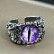 Dragon Eye Men's Fashion Ring Zinc Alloy Hip-hop Ring, Purple, Antique Silver, show in picture