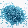 6/0 Glass Seed Beads X-SEED-J012-F6-119-2