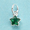 925 Sterling Silver Charms STER-G035-01C-02-1