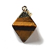 Natural Tiger Eye Pendants G-P474-03G-04-2