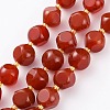 Natural Carnelian Beads Strands G-A030-B24-10mm-A-1