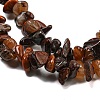 Natural Red Pietersite Beads Strands G-G905-16-4