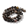 Natural Petrified Wood Beads Strands G-NH0021-A12-02-3