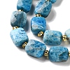 Natural Apatite Beads Strands G-H061-A04-01-4