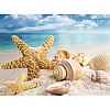 Starfish & Shell Pattern Beach Theme DIY Diamond Painting Kit WG37486-01-1