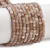 Natural Peach Moonstone Beads Strands G-B093-C01-01-2