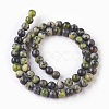 Natural Serpentine Beads Strands G-G767-05-6mm-2