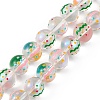 Handmade Lampwork Beads Strands LAMP-F029-01H-1