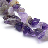 Natural Amethyst Beads Strands G-P332-07-2
