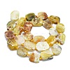 Natural Yellow Opal Beads Strands G-K245-L01-01-2