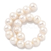 Natural Cultured Freshwater Pearl Beads Strands PEAR-C003-22B-4