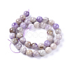 Natural Amethyst Beads Strands G-L555-01-8mm-3