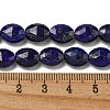 Natural Lapis Lazuli Beads Strands G-P544-D04-01-5