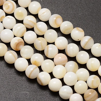 Natural Freshwater Shell Round Bead Strands X-SHEL-M013-01-1