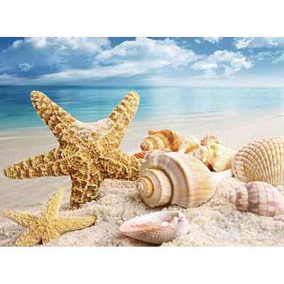 Starfish & Shell Pattern Beach Theme DIY Diamond Painting Kit WG37486-01-1