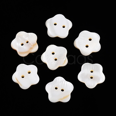 Freshwater Shell Buttons BUTT-T013-01-1