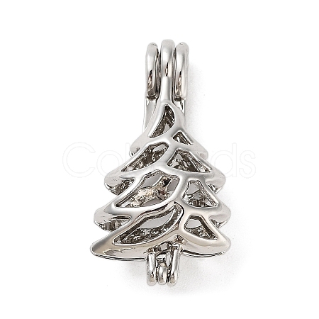 Alloy Bead Cage Pendants FIND-M012-01C-P-1