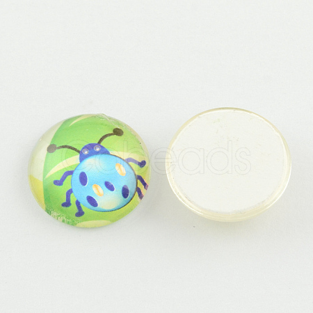 Insect Pattern Printed Glass Cabochons GGLA-R018-18mm-D09-1