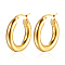 Stainless Steel Hoop Earrings for Women, Oval