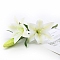 Cloth Artificial Camellia, for Wedding Aisle Centerpieces Table Confetti Party Favors Home Decoration, Honeydew, 410mm