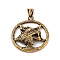 Viking 304 Stainless Steel Pendants, Star with Wolf Head Charm, Antique Real 18K Gold Plated, 42x37.5x8mm, Hole: 4x7mm