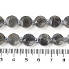 Natural Labradorite Beads Strands G-C116-A46-01-5