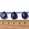 Natural Lapis Lazuli Beads Strands G-P544-C10-01-4