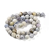 Natural Sodalite Beads Strands G-NH0021-A25-02-3